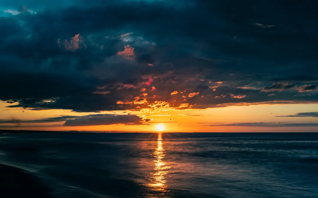 d7916c95761c726a99e33cad52ce5ff.png